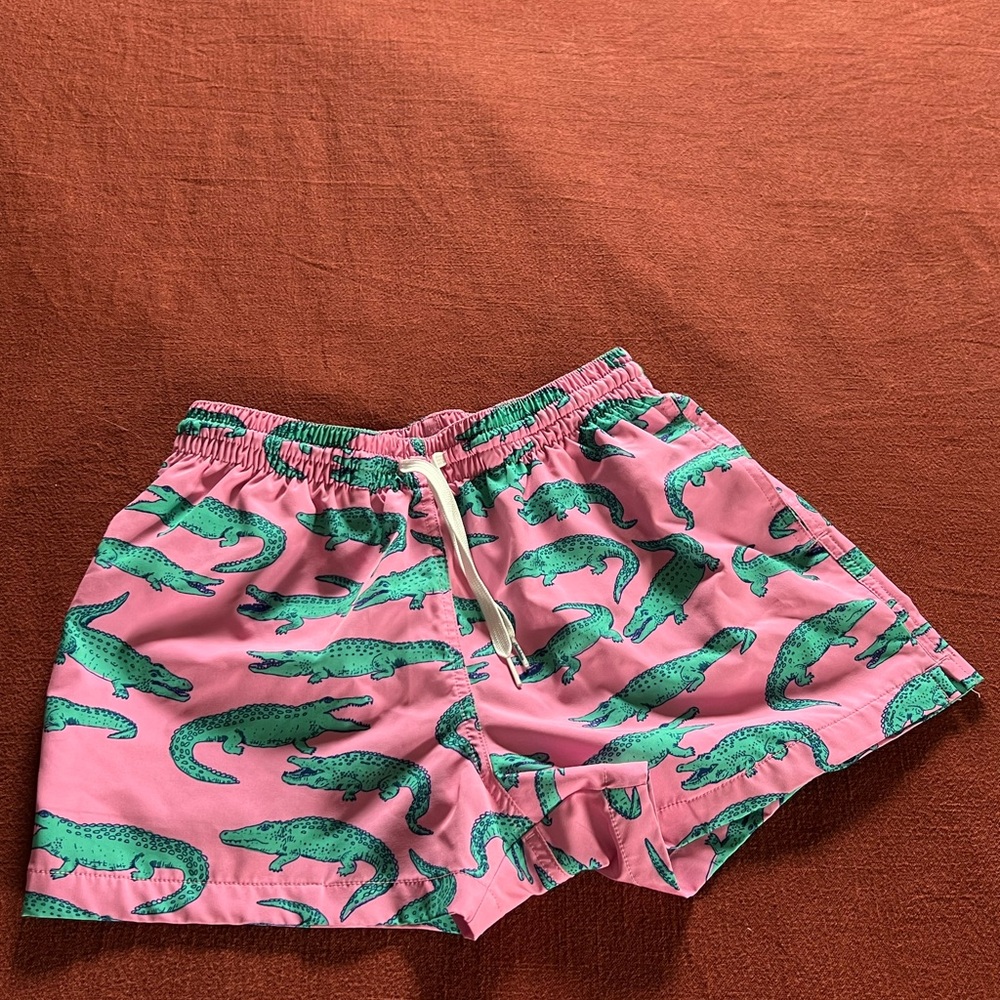 Chubbies swim trunks/shorts